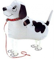 Perro Pontier de Paseo
