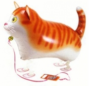 Gato de Paseo