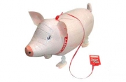 Cerdito de Paseo